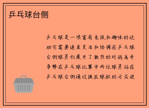 乒乓球台侧