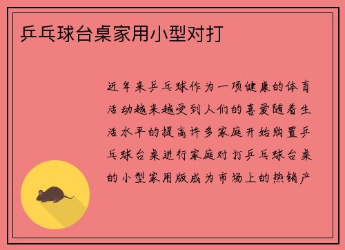 乒乓球台桌家用小型对打