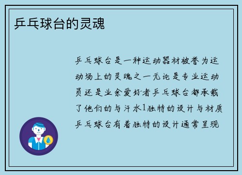 乒乓球台的灵魂