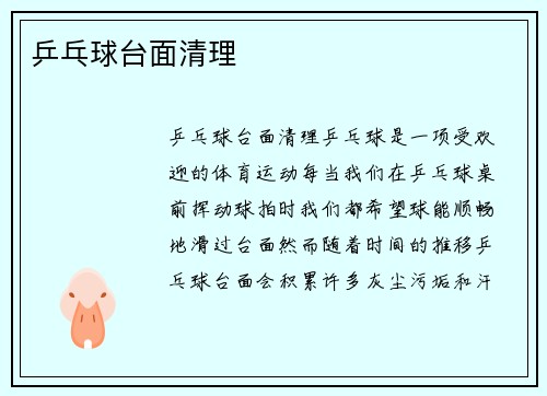 乒乓球台面清理